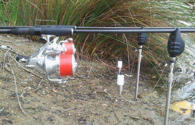 All4carp - 1986362016777833138681646577845n.jpg